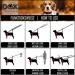 DDOXX Reflective Nylon Dog Leash - 2m 3-Way Adjustable for All Dog Sizes - XS Purple (1.0 x 200 cm) - International Shipping Available - Buy Online on GoSupps.com
