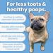 TJ Pro Digestive Probiotics for Dogs | Sensitive Stomachs, Skin Issues, Wind Relief | Prebiotic, Probiotic & Enzymes for Gut Health | Made in UK - Buy Online on GoSupps.com