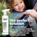 Dew Car Seat & Stroller Upholstery Cleaner & Surface Cleaner Spray 500ml | 100% Natural Baby Safe Hypochlorous Acid Antibacterial Spray | Bleach & Alcohol Free Fabric Stain Remover Spray 500 ml (Pack of 1) - Buy Online on GoSupps.com