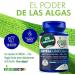 Suplemento Omega 3 Vegano en C psulas - cidos Grasos DHA DPA EPA con Vitamina E - Sin Carragenina - Mejor que el Aceite de Pescado - Beneficios para Articulaciones, Sistema Inmune y Prenatal - Buy Online on GoSupps.com