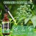 Jamaican Black Castor Oil 60ML - Organic Cold Pressed Unrefined for Hair Growth Skin Eyelashes & Eyebrow Care - Shop Internationally - Buy Online on GoSupps.com