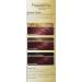 L'Oreal Paris Superior Preference 4B Burgundy - Fade-Defying Color & Shine | International Shipping Available - Buy Online on GoSupps.com
