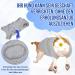 Eyein Dog Body After Op - Breathable Soft One-Piece with Zipper & Belt for Wound Protection | E-Neck Band Alternative for Pets (Gray Medium) - Buy Online on GoSupps.com