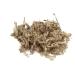 Sphagnum Moss for Terrariums & Orchids - Premium 4x1000g from Chile | International Shipping - Buy Online on GoSupps.com