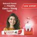Vicco Vajradanti Herbal Ayurvedic Toothpaste | 100% Natural Vegan & Cruelty-Free | Pack of 3 | 18 Herbs for Natural Oral Care - Buy Online on GoSupps.com