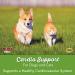 Now Foods Pets Cardiovascular Support for Dogs & Cats - 4.5 oz | Enhance Pet Health - Buy Online on GoSupps.com