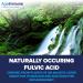 Fulvic Humic Acid Liquid Supplement - 75+ Trace Minerals for Energy Boost | Plant-Derived Electrolytes | Hydration Support | 2oz Bottle | Up to 8 Months Supply - Buy Online on GoSupps.com