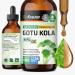 BIO KRAUTER entella Asiatica (Gotu Kola)- Liquid Drops Gotu Kola Extract 685 mg/Serving 4 Fl.Oz 56-Day Supply - Pure Vegan Brain Supplement Supports Calm Focus & Memory - Alcohol & Sugar Free 4 Fl Oz (Pack of 1)