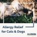 PROGENA Allergena For Pets 1oz - Natural Relief for Pet Allergies - Buy Online on GoSupps.com