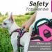 Eagloo Adjustable Dog Harness for Small Dogs - Anti-Train Durable Reflective Strips - Perfect for Walking & Jogging - Rose Red XS (1 Pack) - Buy Online on GoSupps.com