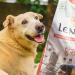Lenda Salmon 2 kg - Complete natural food for young and adult dogs of all breeds - Buy Online on GoSupps.com