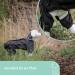 Kerbl Raincoat Manchester S Black - Stylish and Waterproof for Small Dogs - Buy Online on GoSupps.com