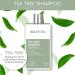 Color Safe Tea Tree Shampoo with Peppermint Oil - Deep Cleanser for Dandruff & Itchy Scalp 10.1 oz | Hair Regrowth for All Hair Types - Buy Online on GoSupps.com