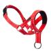 ILEPARK Dog Halver for Training - Colorful head harness for dogs to stop pulling - adjustable and easy to use headhaft (L red) L n -red