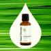 Plant Therapy Lemongrass Essential Oil 100% Pure Undiluted Natural Aromatherapy for Diffuser and Skin Therapeutic Grade 30 mL (1 oz) Lemongrass 1 Fl Oz (Pack of 1) - Buy Online on GoSupps.com