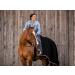 Equilyx Sweat Ceiling Horse Blanket | Perfect Fit Fleece | Moisture Absorbing Breathable Warming Transport Blanket (Black 145) - Buy Online on GoSupps.com