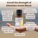 Rocky Mountain Oils Attention Assist Essential Oil Blend - Energizing Focus Oil | 15ml - International Shipping - Buy Online on GoSupps.com