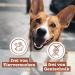 Chewies Maxi Dog Meat Stripes - 100% Wild Meat 150g - Grain-Free & Sugar-Free Treats for Dogs - Buy Online on GoSupps.com