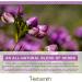 Herbsmith Calm Shen Herbal Blend for Dogs & Cats - Natural Anxiety Remedy (75g Powder) - Buy Online on GoSupps.com