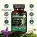 HyperVive Bacopa Monnieri + Luteolin Bundle Memory Focus Cognitive Clarity & Brain Health Support Vegan Capsules - Buy Online on GoSupps.com