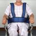 ZZBB Wheelchair Seat Belts Adjustable Wheelchair Mobility Safety Belt Waist Lap Strap for Elderly Waist Lap Strap - Buy Online on GoSupps.com