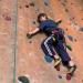 ALPIDEX Starter Set: 35 Colorful Climbing Holds & Stones with Screws - Perfect for Home Gym & Outdoor Climbing - Buy Online on GoSupps.com