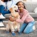 Petloft Anti-Slip Dog Socks - Slide-Resistant Indoor Socks for Small to Medium Dogs & Cats | Adjustable Fastening Tape - 4XL Gray Paw - Buy Online on GoSupps.com
