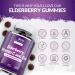 Elderberry Gummies for Adults & Kids (12+) - 90 Vegan Gummies with Sambucus, Vitamin C, & Zinc - Blueberry Flavour - Immune System Booster - Buy Online on GoSupps.com