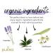 Organic Pukka Night Time Herbal Sleep Tea - Chamomile, Lavender & Valerian | 20 Bags - Buy Online on GoSupps.com