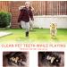 20pcs Interactive Dog Chew Toys - Safe Non-Toxic Balls for All Sizes - Train Teeth & Engage Pets - Buy Online on GoSupps.com