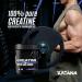 100% Pure Micronized Creatine Monohydrate Powder Unflavored - 60 Servings (300g) - Boost Performance & Recovery - International Shipping - Buy Online on GoSupps.com