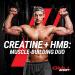 GMU SPORT Creatine 2.0 Flavored Creatine + HMB Powder | 45 Servings |5g Creatine Monohydrate + 3g HMB + Piperine |Strength Recovery & Muscle Builder | Strawberry Lemonade Drink Mix for Men & Women - Buy Online on GoSupps.com