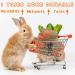 Hitkmi 12PCS Natural Bunny Chew Toys - Timothy & Carrot Biscuit Molar Treats for Rabbit/Hamster/Guinea Pig - Handmade Nutritious Toys for Small Animals - Buy Online on GoSupps.com