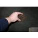 Fur-Zoff Pet Hair Remover - Ideal for Removing Pet Hair Easily (00003) - Buy Online on GoSupps.com