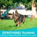 Dog is K nig Feed Bag for Dogs - Dummy for Training | Includes Treats & Training Book | Petrol Blue Training Dummy - Buy Online on GoSupps.com