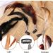 SHERCHPRY Cosplay Wig 6pcs Tassel Barrette Hair Extensions - Rainbow Hair Extensions for Halloween Props and Boho Hair Ties - Buy Online on GoSupps.com