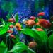 E.YOMOQGG Large 50.8 cm Aquarium Artificial Plants | Realistic Plastic Decoration for Aquariums | Stunning Aquarium Decor - Buy Online on GoSupps.com