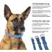 Luxury Leather Sniffing Fans Dog Collar - Padded Design for Medium Large & Small Dogs (L - 36-45cm Blue) - Buy Online on GoSupps.com