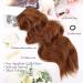 MORICA 20 Inch Invisible Wire Hair Extensions | Auburn Halo Hairpiece - Long Wavy Synthetic Hair | Adjustable Size & 4 Secure Clips for Women - Buy Online on GoSupps.com