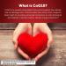 Buy MegaRed CoQ10 200mg Capsules - Supports Heart Health & Cellular Energy - 90 Count | Antioxidant Protection - Buy Online on GoSupps.com