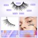 Newcally Natural Cat Eye Half False Eyelashes - 5 Pairs B05 - Buy Online on GoSupps.com