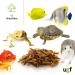 UGF Soldier Fly Larvae (500g) - Superior to Dried Mealworms - 85x Calcium - Ideal Treats for Birds Turtles Rodents & More - Buy Online on GoSupps.com