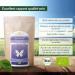 200g de th Matcha BIO CLASSIC sans additifs - Buy Online on GoSupps.com