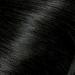 Clairol Perfect 10 Permanent Hair Dye 2 Black Color Pack - 1 Count - Buy Online on GoSupps.com