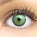 Contact lenses colored 'ibiza green' without strength colored green monthly lenses soft lentils soft hydrogel 2 pieces color lens + lentil container 0.0 diopttries natural colors series