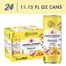 Sanpellegrino Momenti Lemon and Raspberry Sparkling Drink 24-Pack - 11.15 Fl Oz Cans - Buy Online on GoSupps.com