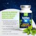 Nightburn Capsules - Premium Decaffeinated Green Tea Extract with Vitamins B6 & C | 90 Day Supply | Sensilab Boost Metabolism & Support Weight Loss - Buy Online on GoSupps.com