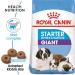Royal Canin Giant Starter Mother and Babydog 4 kg - Buy Online on GoSupps.com