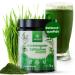 Vimion pure barley grass juice powder in premium raw food quality of course rich in iron folic acid vitamin K and chlorophyll vegan green superfood as powder in the glass barley grass juice powder (75 g) 75 g (1 Pack)