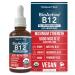 Organic Vitamin B12 - 5000 mcg, 3 BioActive B12 Forms: Methyl B12, Adenosyl B12 & Hydroxy B12 - Plus L-Methylfolate Cofactor | Sublingual Form, Cherry Flavor, Vegan, Non-GMO (60 Servings)